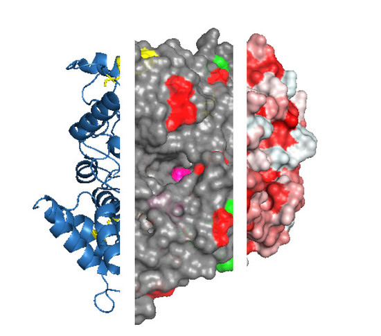 Protein features and protein structure.